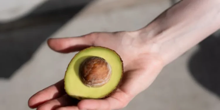 imagem de uma mão segurando um abacate / abacate para cabelo branco