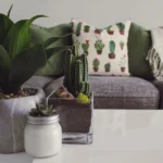 decoração da sala